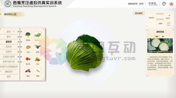 职业教育西式烹饪工艺专业虚拟仿真教学标准建设